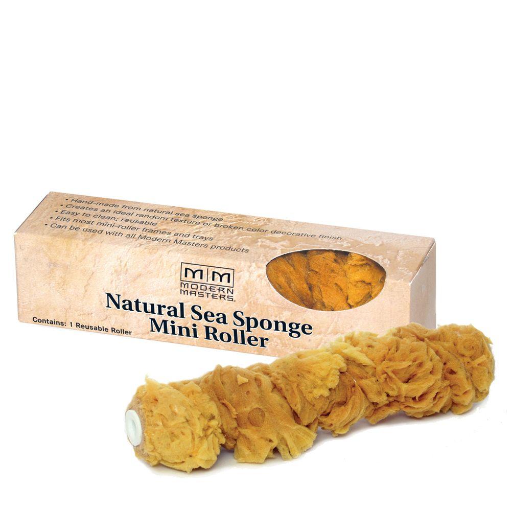 Bild von Natural Sea Sponge Roller